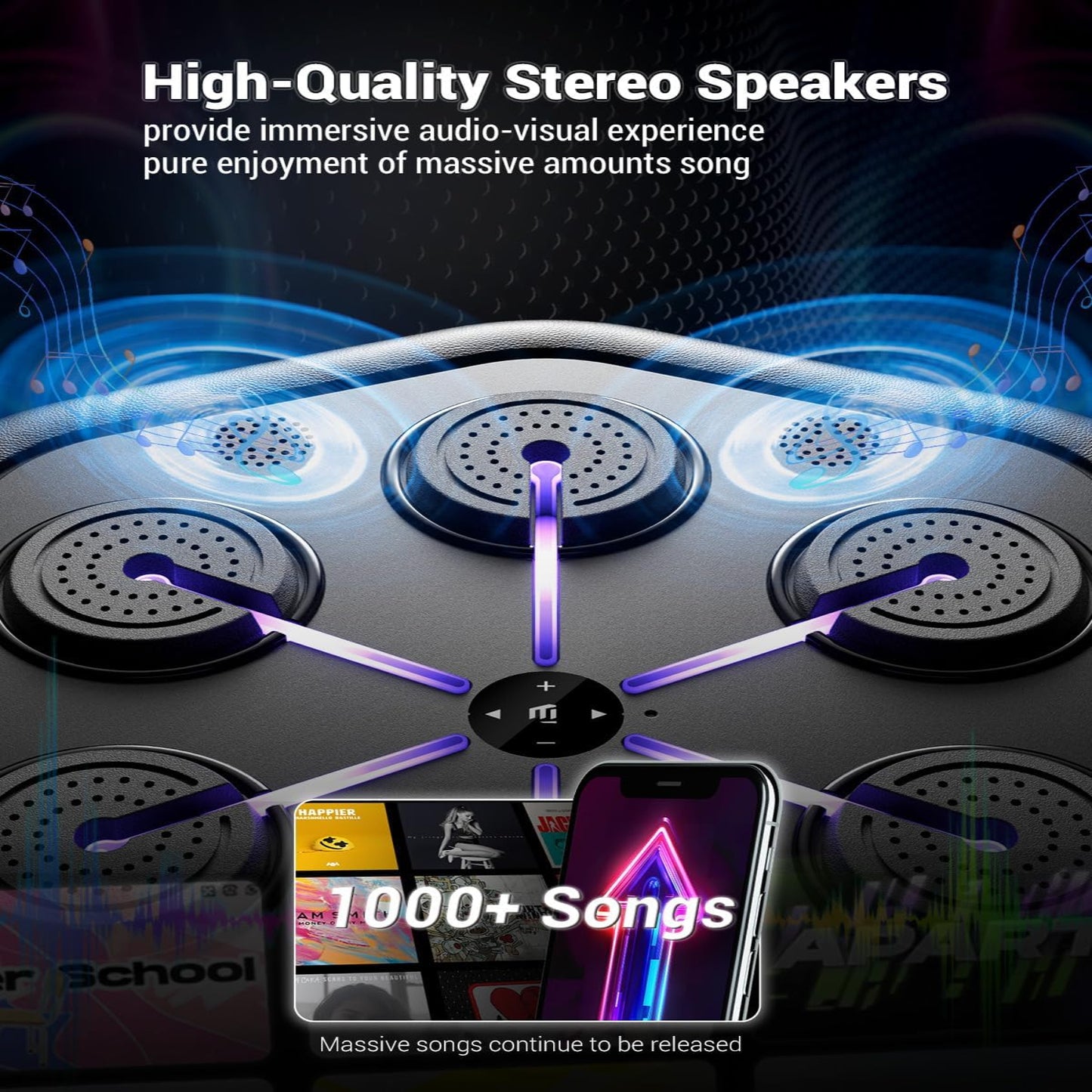 HomeBox™ Music Boxing V2