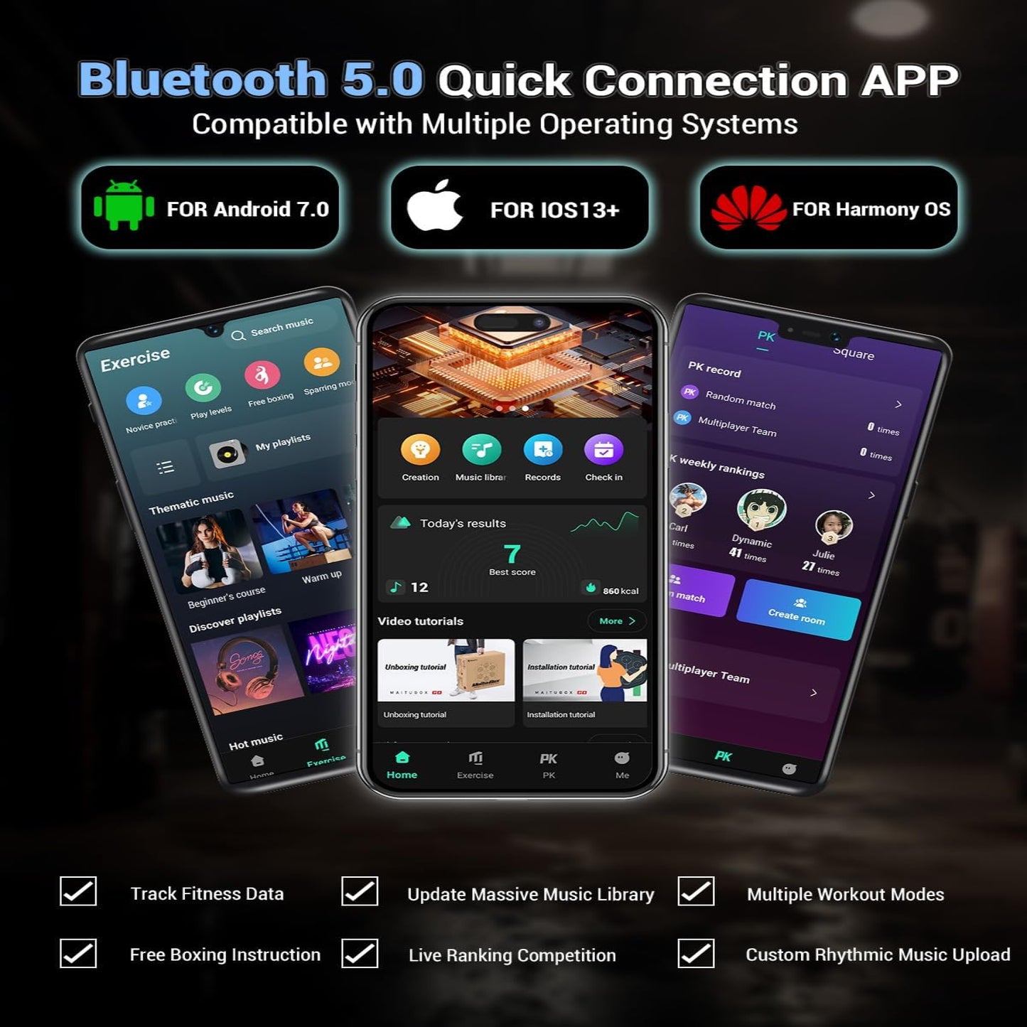 HomeBox™ Music Boxing V2