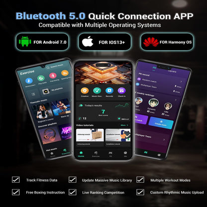 HomeBox™ Music Boxing V2